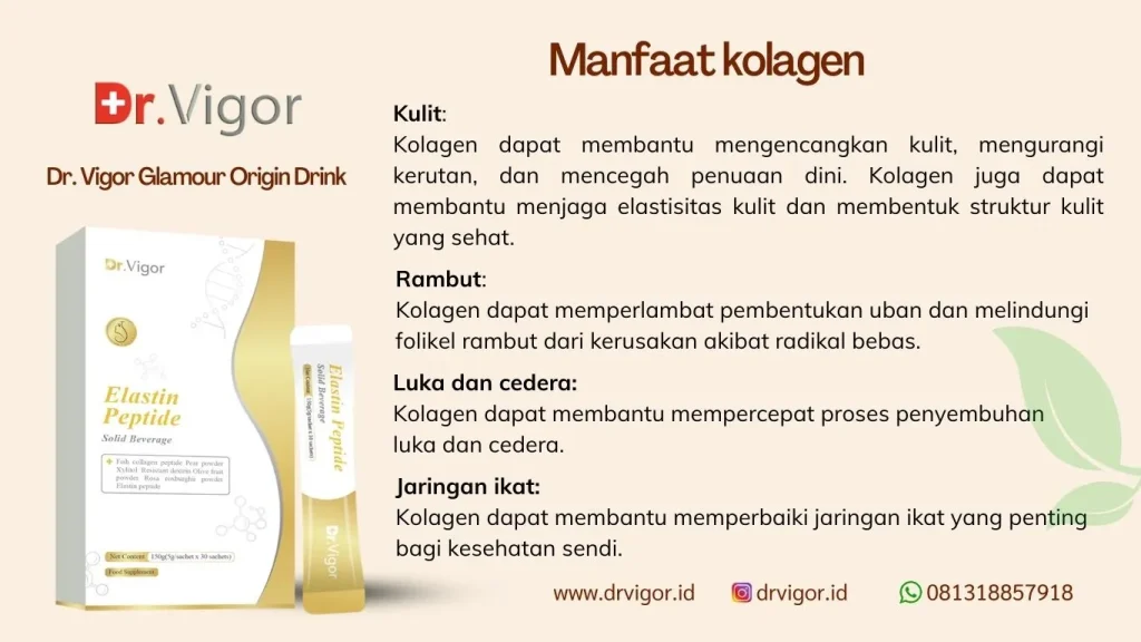 pelangsing dr vigor indonesia