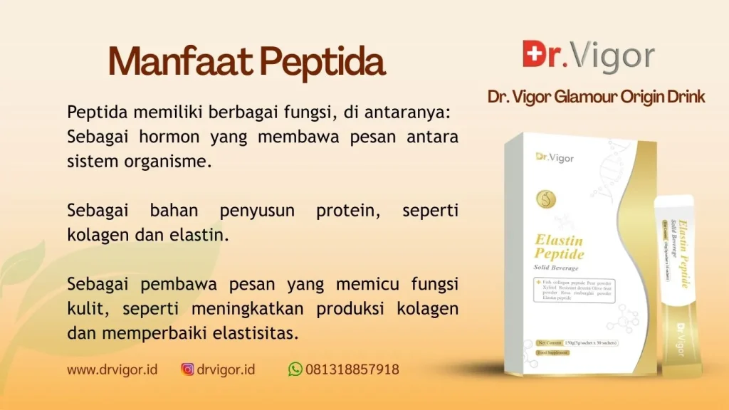 pelangsing dr vigor indonesia
