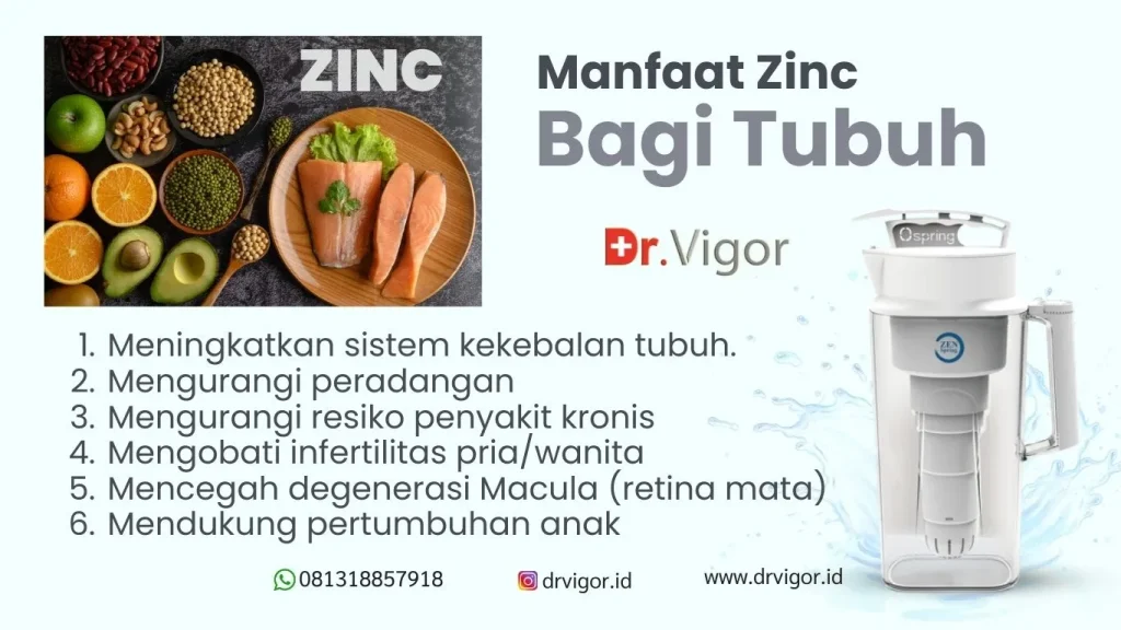 pelangsing dr vigor indonesia